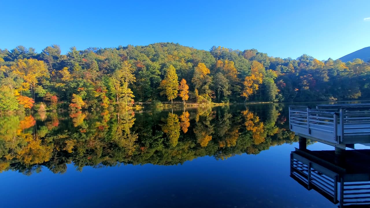 Conoce más sobre Vogel State Park, 
<b><a href="https://gastateparks.org/Vogel">aquí</a></b>.