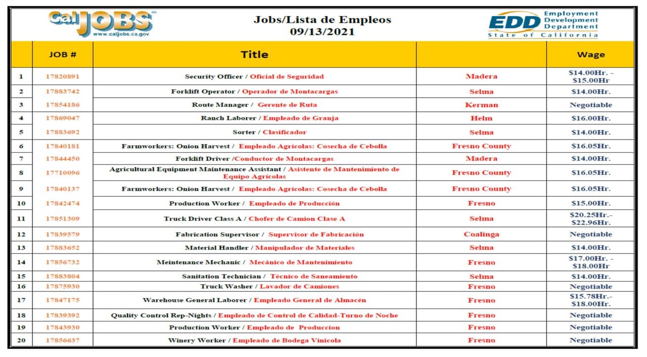 Estas son las 20 ofertas de empleo de la semana