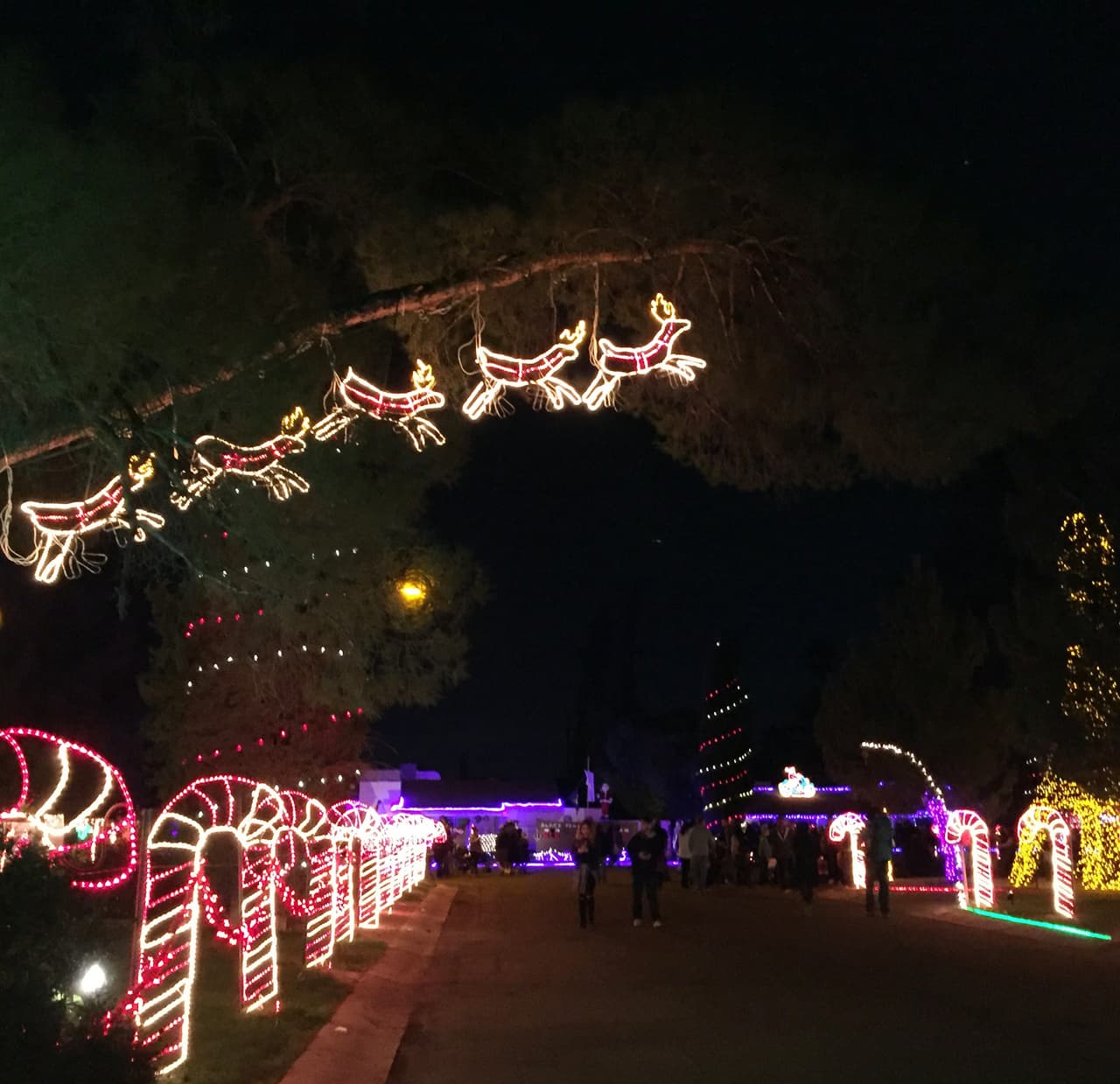 Las personas que no quieran caminar pueden hacer el recorrido en vagones impusadospor jeeps, un Troley o bicibletas grupales motorizadas, que hacen el recorrido más divertido.