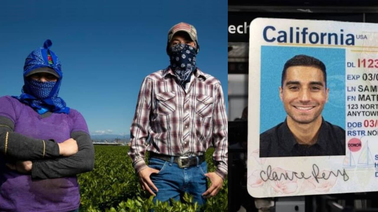 ¿Cómo beneficia a los indocumentados la nueva identificación estatal?