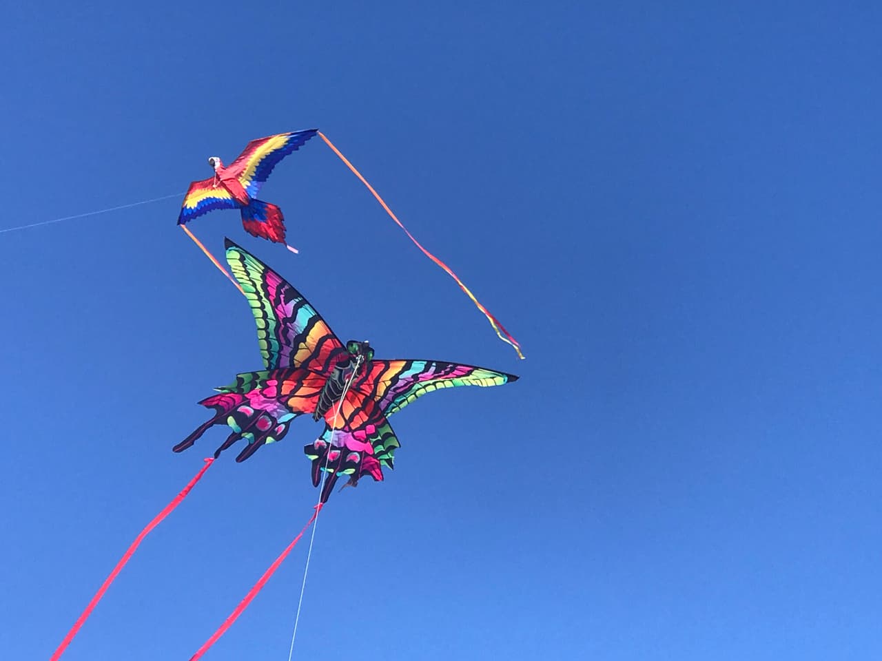 Por lo que desde ya te compartimos las fechas y lugares de los eventos de este tipo para que los disfrutes en familia.
<br>