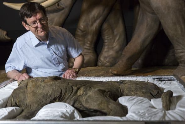 Mamut de la edad de hielo llegó a Londres