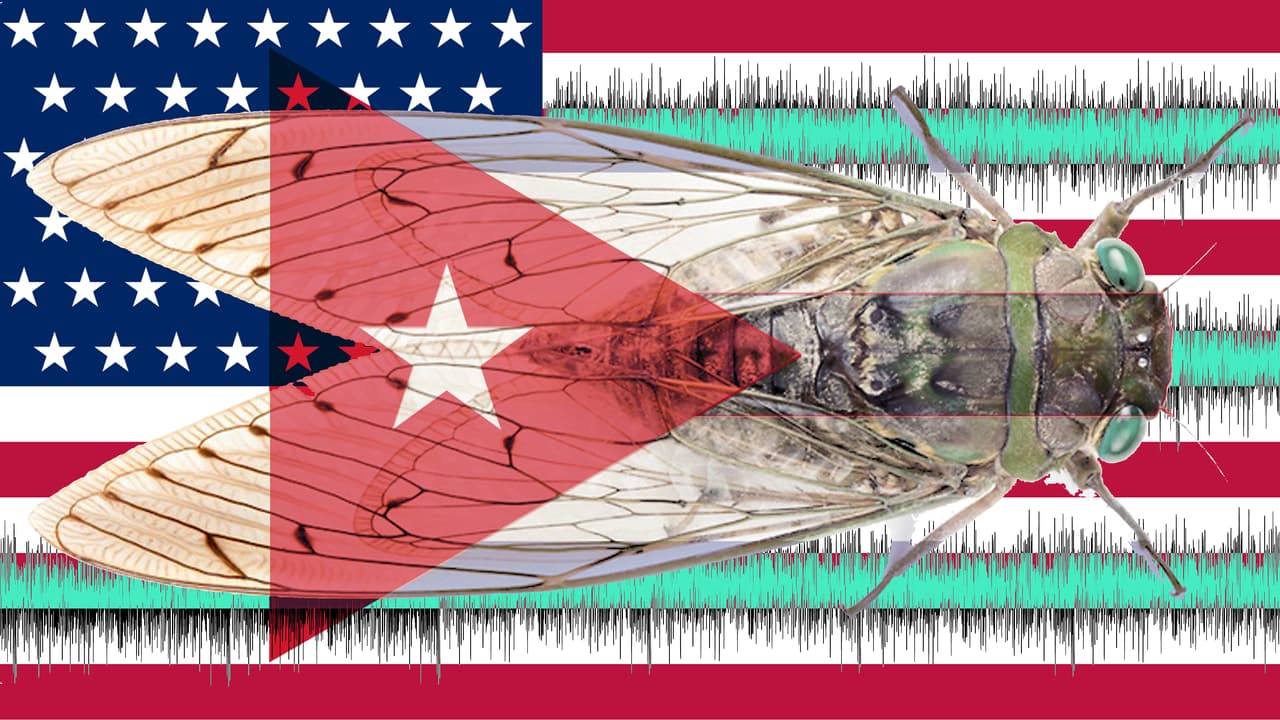 Misteriosos incidentes en Cuba: estudio médico revela que diplomáticos de EEUU sufrieron daño en oídos