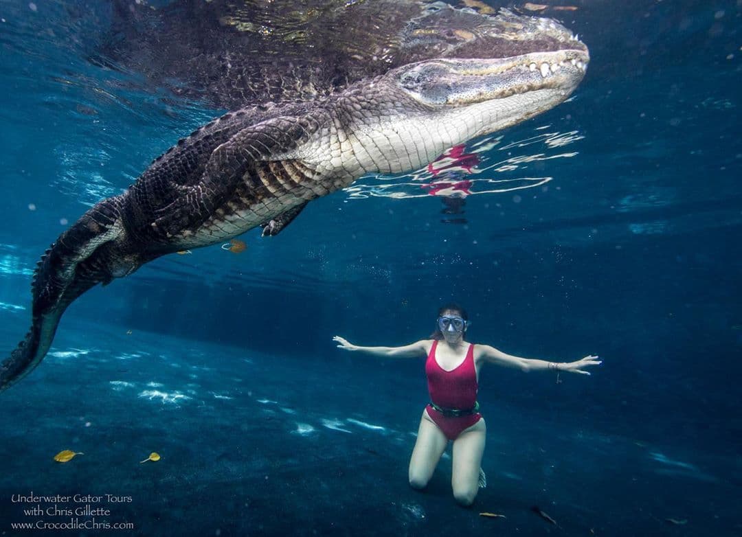 "Esta es una tremenda experiencia y dejando a un lado las bromas y todas las emociones que pasan a través de mí en este momento creo que estoy lista", esas fueron sus palabras antes de dar inicio a una de las aventuras más grandes de su vida.