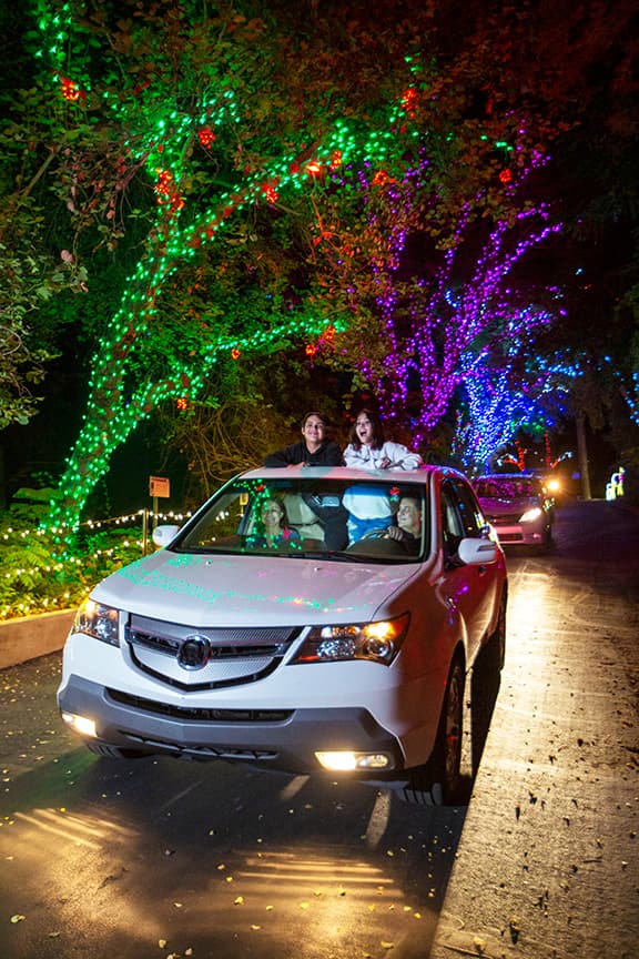Cabe mencionar que no se permiten perros u otras mascotas dentro de su vehículo o el zoológico.
<br>