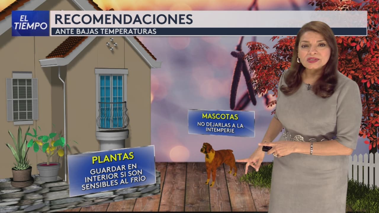 Pronóstico del tiempo en Chicago: activan avisos de helada y esperan temperaturas de hasta 30 grados este sábado