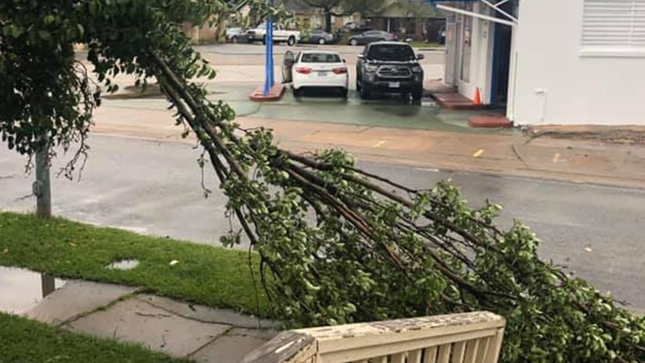 Fotografía compartida por Lily GS