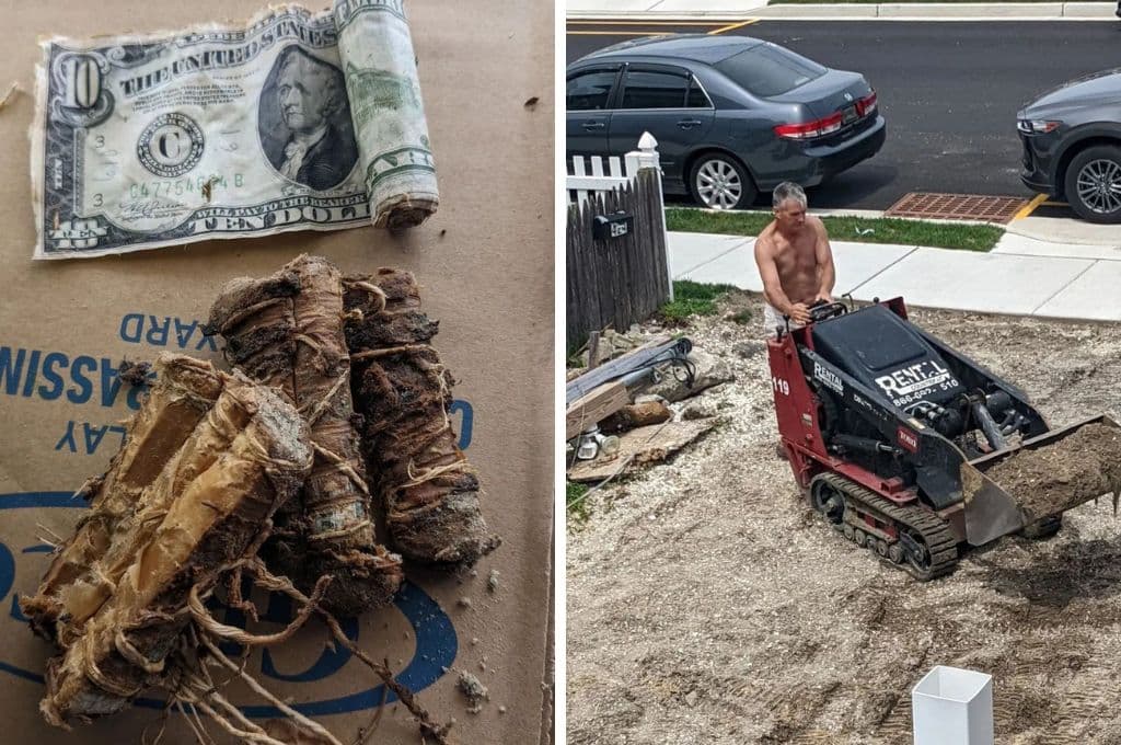 ¡Misterio resuelto! Revelan origen de dinero enterrado que halló pareja en Nueva Jersey