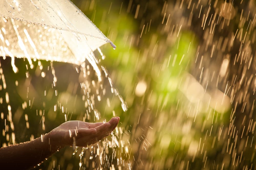 <h3 class="cms-H3-H3">Soñar con agua de lluvia </h3>
<br>Los expertos aseguran que este tipo de sueños señala que tu subconsciente te advierte que pronto recibirás noticias buenas y malas una detrás de otra, y debido a esto tu estado emocional será un poco inestables pues puedes sentir felicidad y dos segundos después mucha tristeza. 
<br>