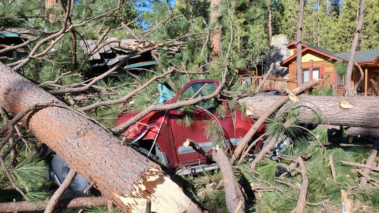 Se reportaron daños materiales, pero afortunadamente no hay heridos, confirmaron oficiales del Parque Yosemite.
