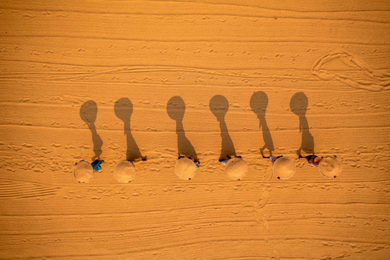 Desde el aire, los trabajadores crean una imagen pintoresca mientras transportan arroz desde un gran campo de secado en Bangladés.