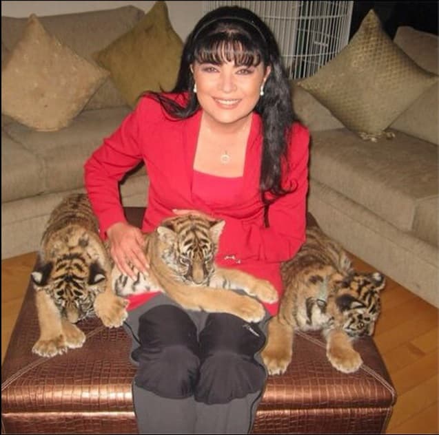 Hace un tiempo, ella contó que mientras estuvieron juntos, desde el 1992 hasta el 1997, Eugenio Derbez nunca tuvo (dinero) "para nada, nunca tuvo para él, para nada. Se queja mucho”.