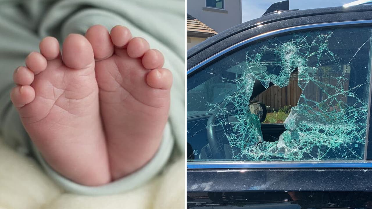Ley del buen samaritano: En Arizona es legal romper la ventana de un auto para salvar a un niño o una mascota