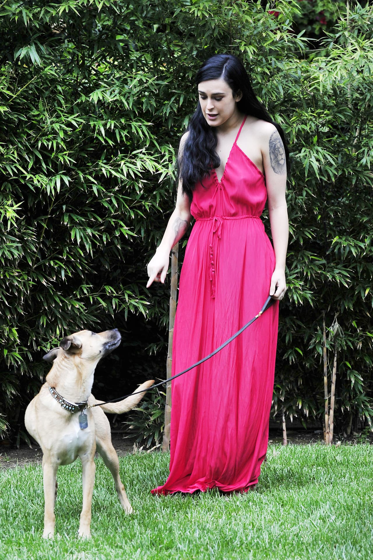 Quiere que sea un cachorro muy educado. ¡Bravo por eso!