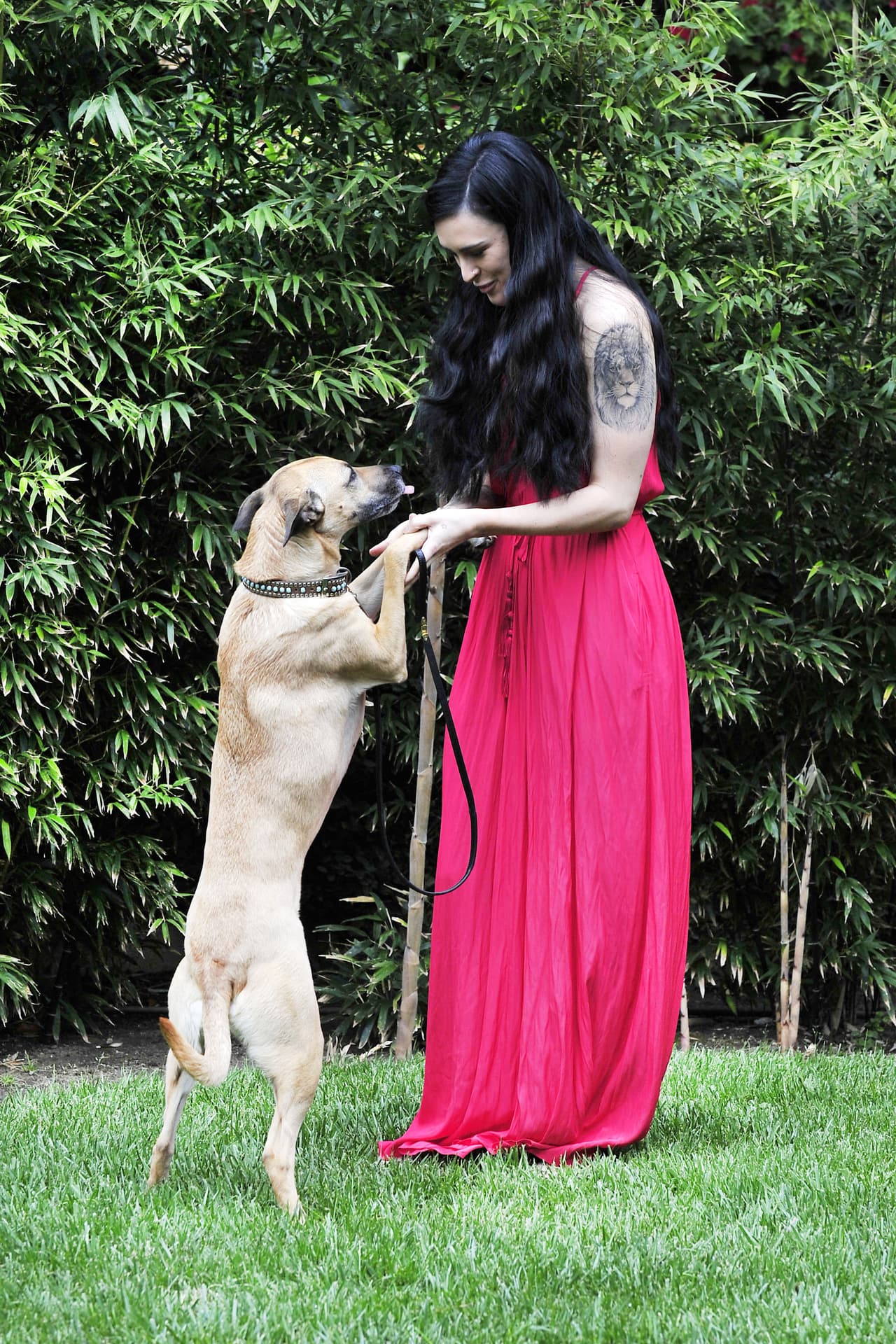 Compartió el césped con su amiguito animal.