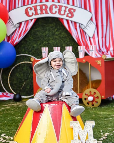 El tierno elefantito.