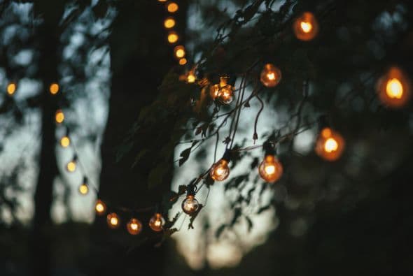 Luces. ¡Son la cereza del pastel! Antes de comprarlas, mide el espacio que quieras alumbrar, fíjate que haya ramas u otras superficies para colgarlas cómodamente, y comprueba que el tomacorriente esté cerca y en condiciones. Quizás lo mejor sea partir de allí para colocarlas.