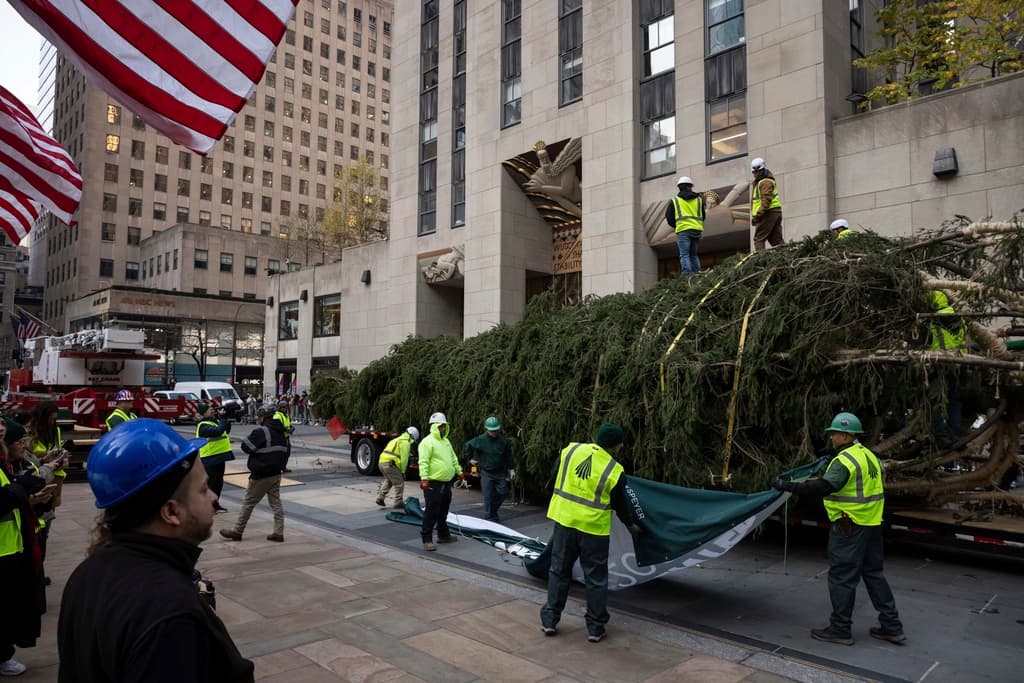 No debería ocurrir este año, cuando el árbol de 72 pies (23 metros) y 11 toneladas esté listo para marcar oficialmente con su encendido el comienzo de la Navidad.