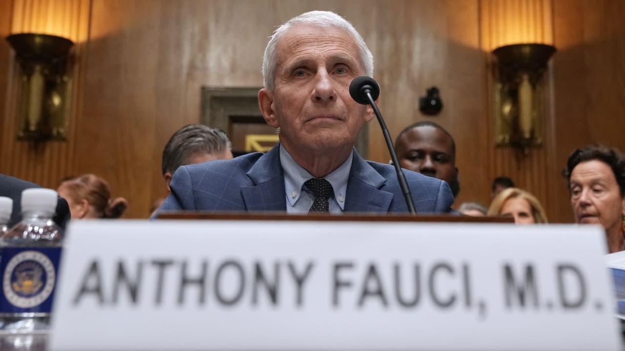 Tensión extrema en el Senado de EEUU: Anthony Fauci y los cuestionamientos que enfrentó sobre el Covid-19