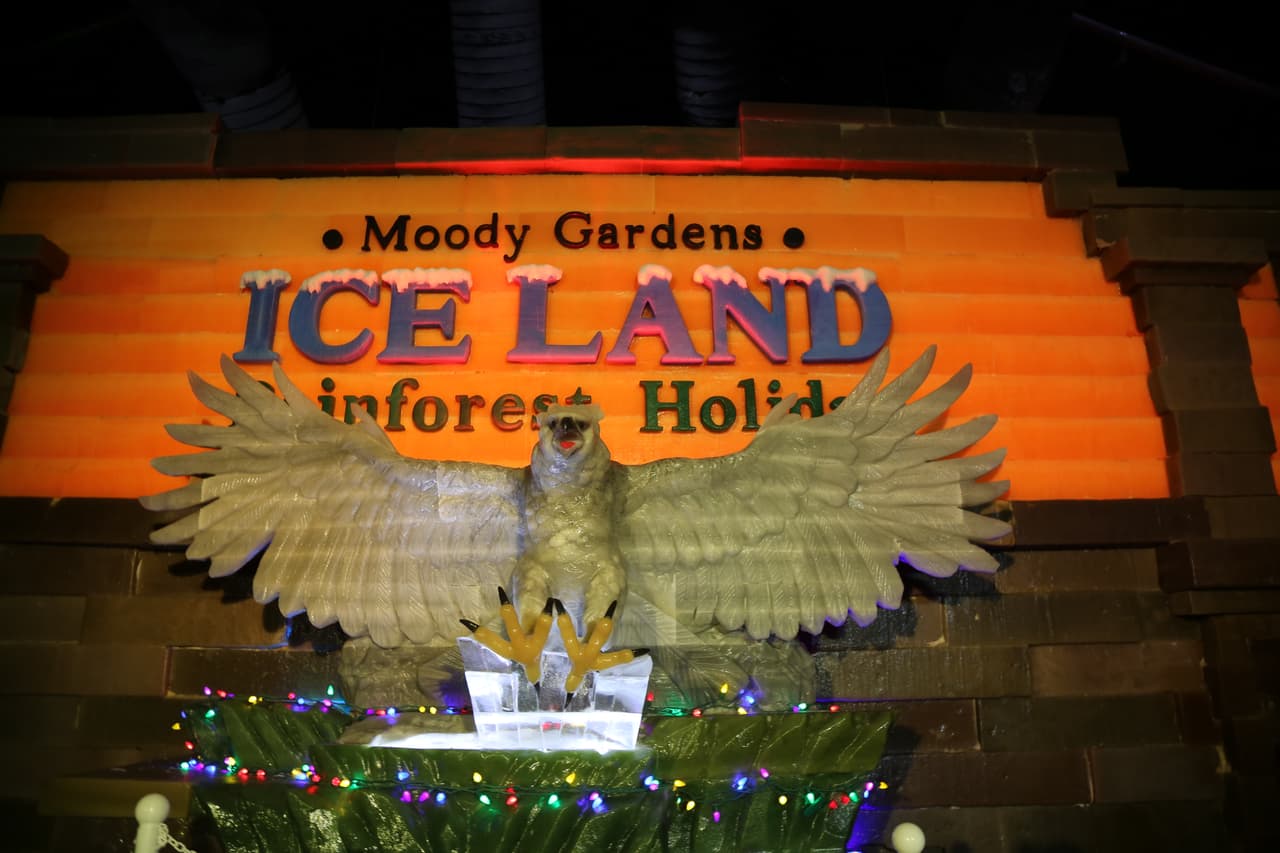 La exhibición "Ice Land" fue inspirada en el festival de hielo y nieve de la ciudad de Harbin en China, donde más de 3,000 artesanos crean un recorrido de 100 acres con estructuras de hielo inmensas.