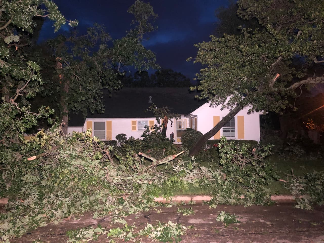 El tornado dejó muchos árboles caídos como muestra el frente de este hogar en Denton.