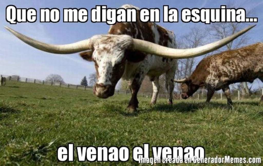 Otros cuernos grandototes.