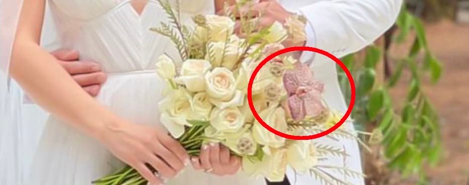 Era una orquídea, pero no cualquiera. De acuerdo con People en Español, quien consultó a la 'wedding planner' de la boda,
<b> es una vanda</b>. Fonéticamente, el nombre de la flor es igual al apellido de la conductora y fue la razón por la que la eligió.