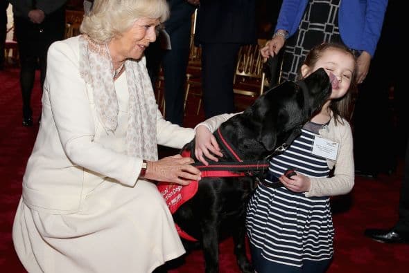 La Duquesa y sus invitados observaron como los perros detectaban en pacientes cáncer de próstata y algunos tumores cancerígenos.