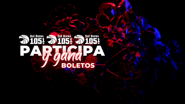 Participa y gana tus boletos al concierto de Los Lobos y Los Lonely Boys!