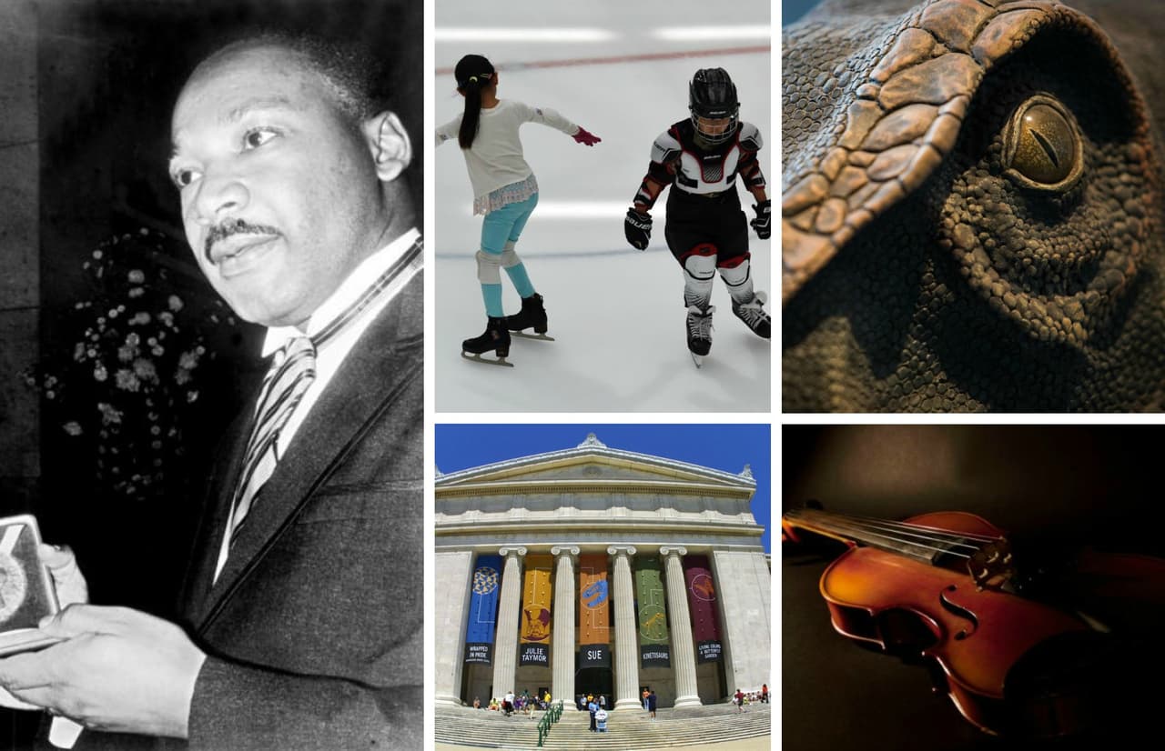 Este fin de semana largo tiene mucho que ofrecer en la ciudad de los vientos. Eventos relacionados con el cumpleaños de Martin Luther King Jr, conciertos, encuentros deportivos y hasta dinasaurios. Aquí te contamos.