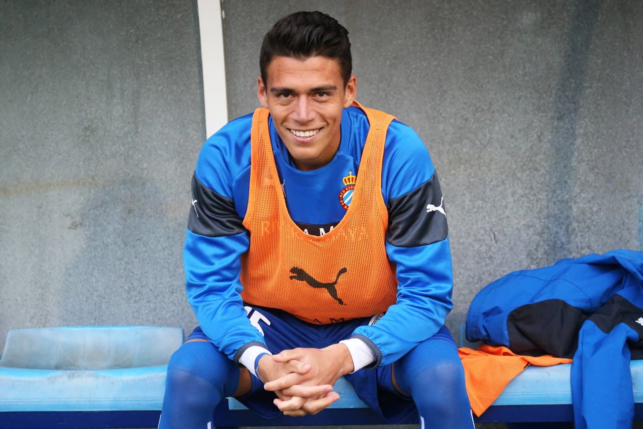 Jugó 96 partidos con el equipo holandés y marcó siete goles, consolidándose como un referente en ambas fases del juego. En el 2011 cambió de liga y se fue a España para jugar con el Espanyol de Barcelona, firmando por 5 años.