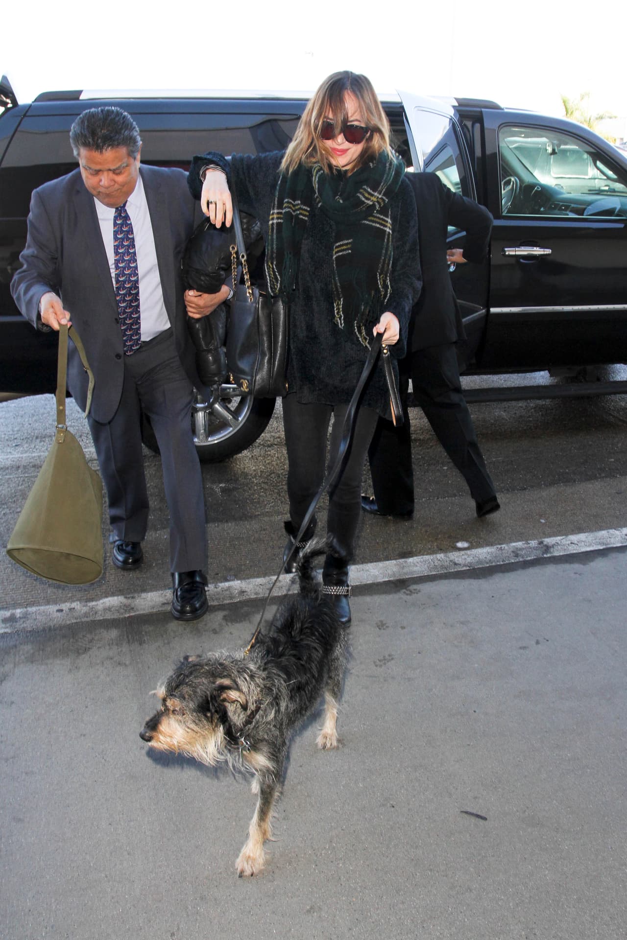 Dakota Johnson cargó con todo y perrito para viajar en Los Angeles.