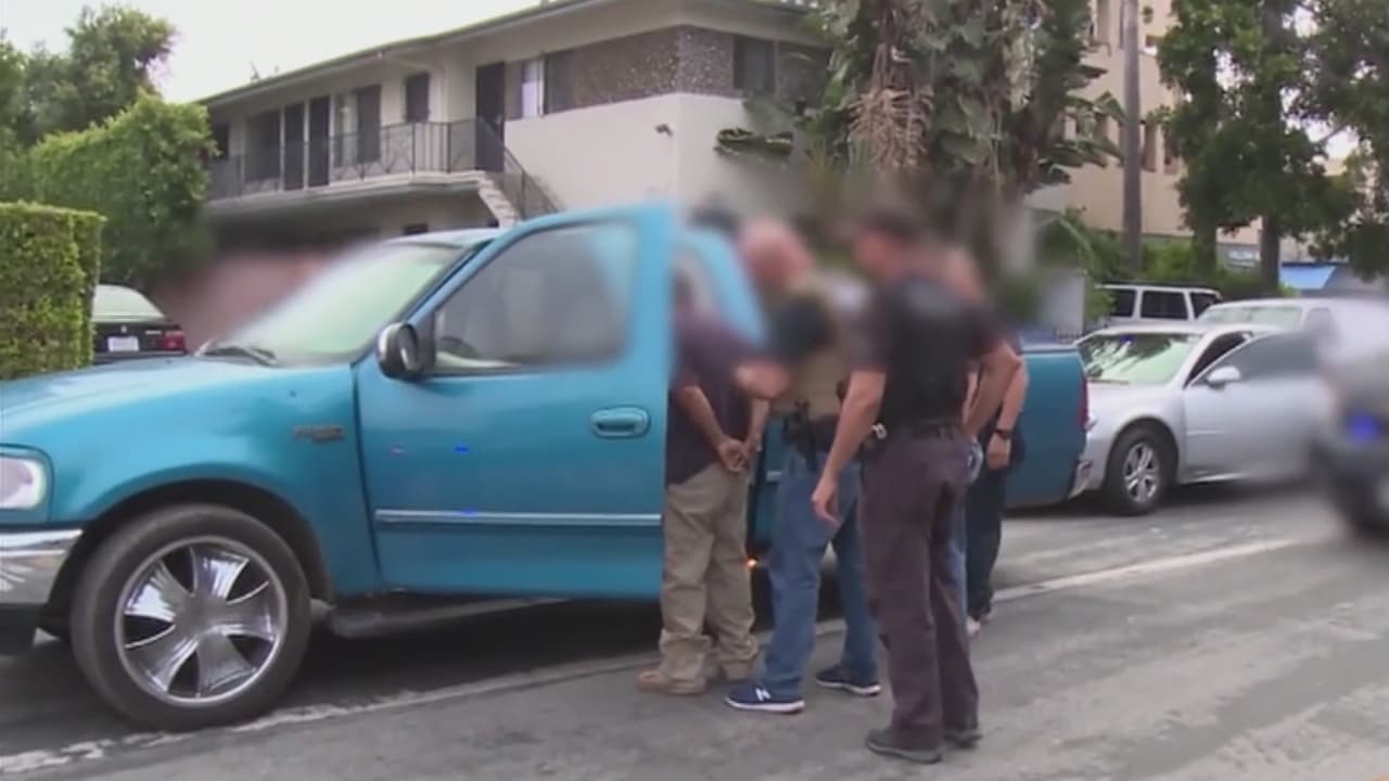 ICE obtiene acceso a información personal a través de base de datos de licencias de conducir