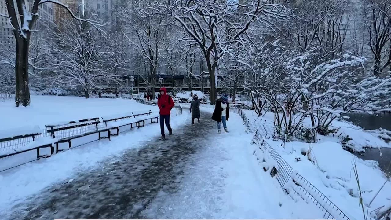 Nueva York recibió su primera gran nevada del 2022