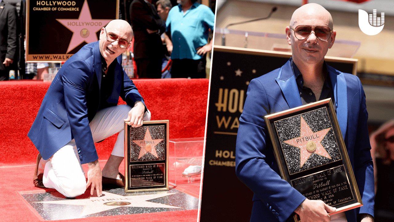 <b>Pitbull</b>: Armando Christian Pérez, mejor conocido como Pitbull, tiene su reconocimiento en el Paseo de la Fama desde 2016