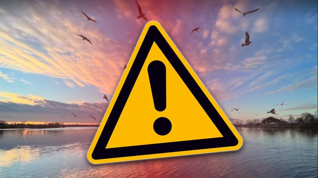 Contaminación en White Rock Lake: Medidas de precaución tras derrame de aguas residuales