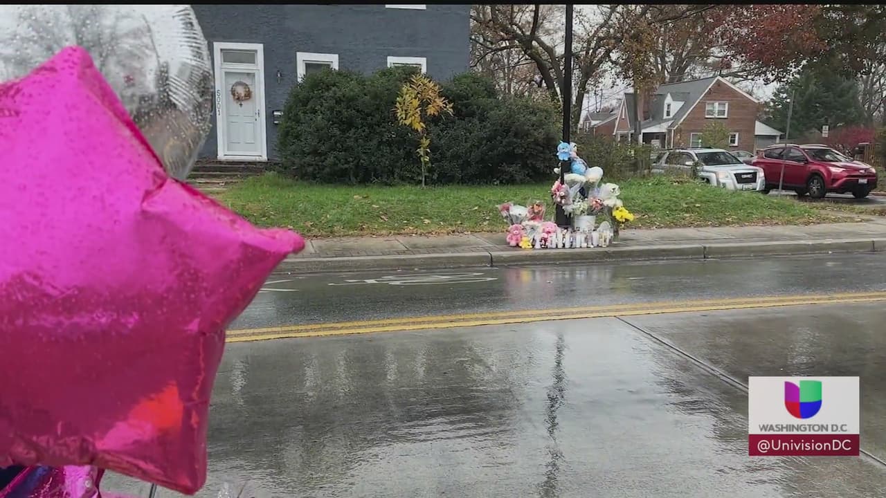 Diás después de que 
<b><a href="https://www.univision.com/local/washington-dc-wfdc/dos-ninos-mueren-atropellados-cuando-caminaban-a-escuela-primaria-de-maryland" target="_blank">dos niños murieron tras ser trágicamente atropellados</a></b> mientras caminaban hacia su escuela en Riverdale Park, se ha hecho patente la necesidad de que los compañeritos de escuela de estos menores reciban acompañamiento ante el trauma que el hecho les causó. Esto dice un experto.