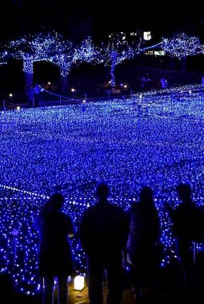 Las luces de led se han vuelto la sensación para montar los espectáculos navideños que nos hacen sentir con un verdadero espíritu navideño.