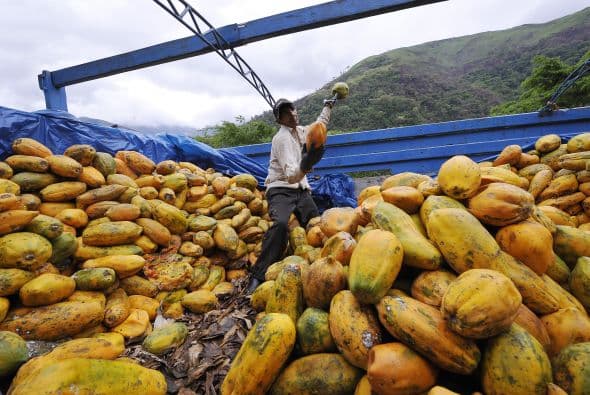 Otros tantos vehículos sufrieron accidentes, al intentar cruzar el bloqueo, en los que se perdió gran parte de su mercacía.