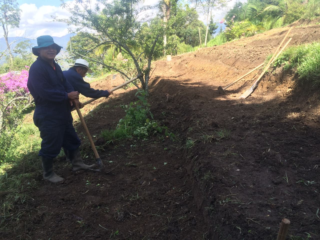 Trabajadores en la granja.