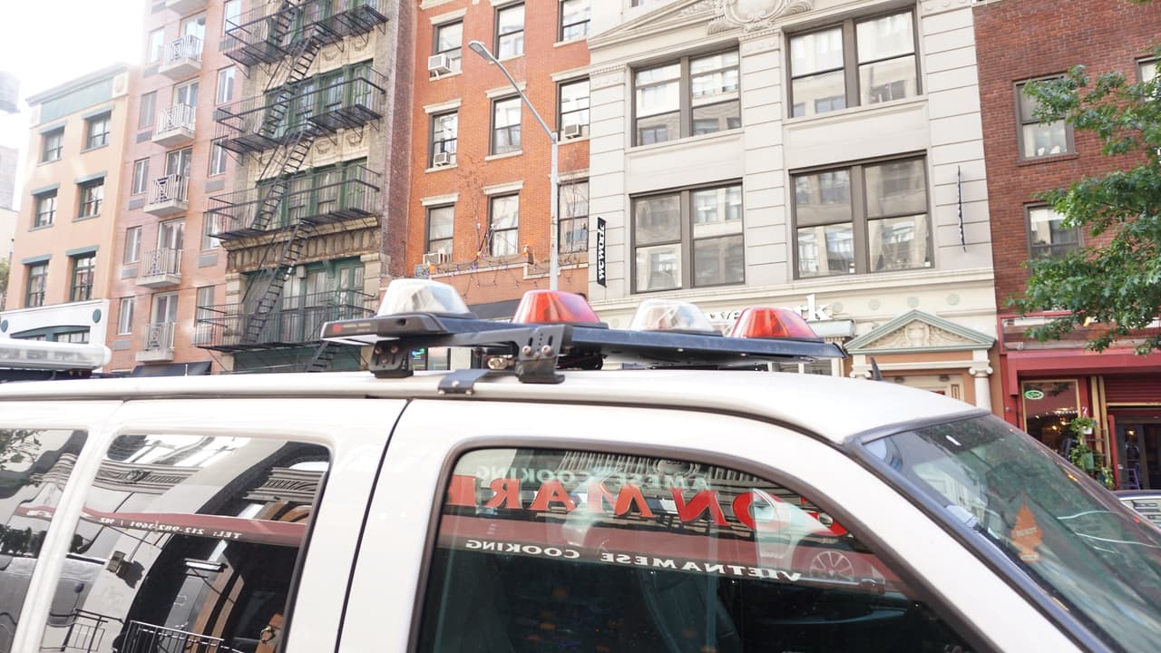 Hombre avisa a la hermana de su mujer que la mató, luego se cuelga de un árbol en Queens