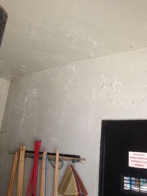 “Estas son las condiciones de las paredes de todo el recinto interior. Trasminadas… con el daño que ello puede causar en los pulmones de estos delicados primates, que al igual que nosotros pueden sufrir las malas consecuencias de vivir bajo condiciones carentes en materia sanitaria y de humedad".