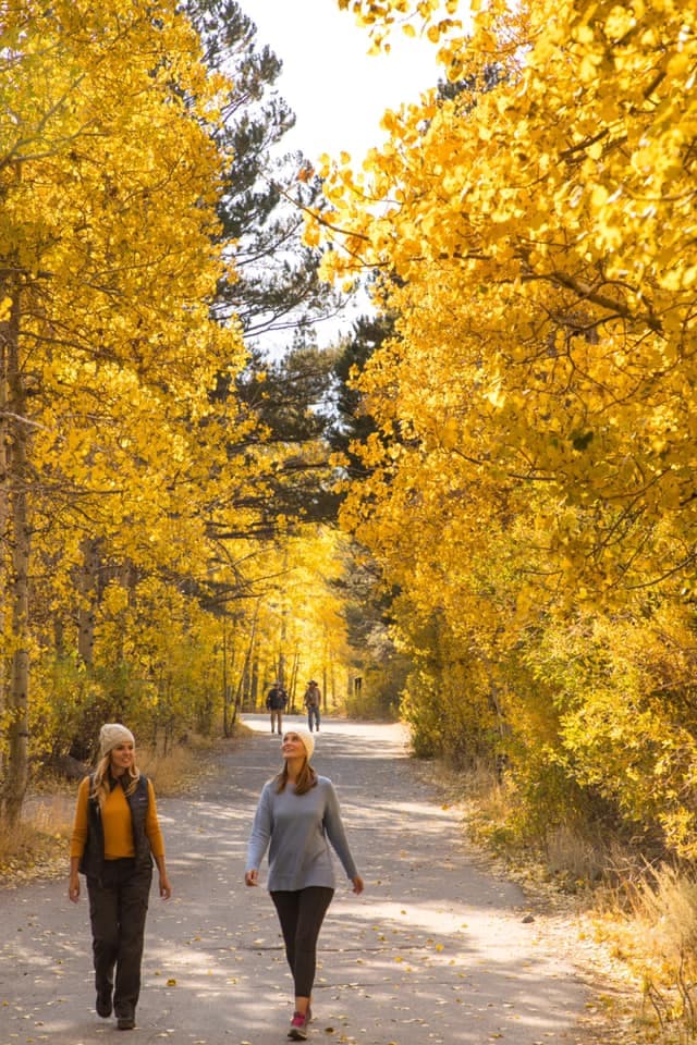 En la Sierra Oriental en el norte de California.