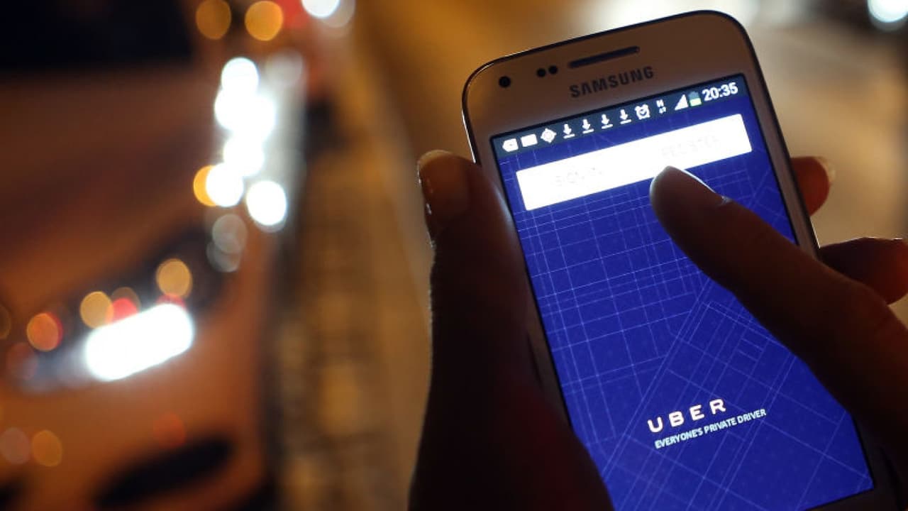 Ahora podrás viajar en Uber con tu mascota en Chicago y esto es lo que debes saber sobre el servicio