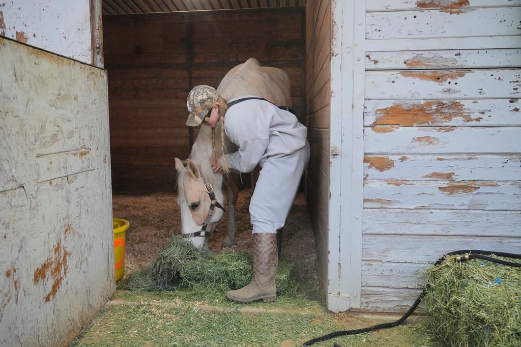 Para los propietarios de mascotas más grandes ha sido difícil encontrar refugio para ellos.
<br>Rachel Granger, propietaria de un caballo, que originalmente estaba en el ahora cerrado Malibu Zad Ranch, fue evacuado debido a los incendios al Centro Ecuestre de Los Ángeles, en Burbank, California.