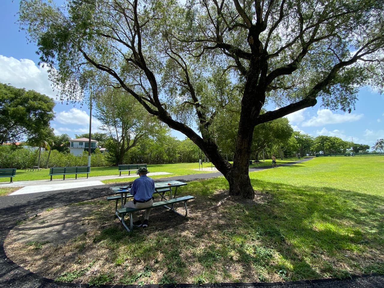 Algunos de los visitantes del parque solo van al lugar para sentarse a leer un libro en calma o para caminar por los senderos.