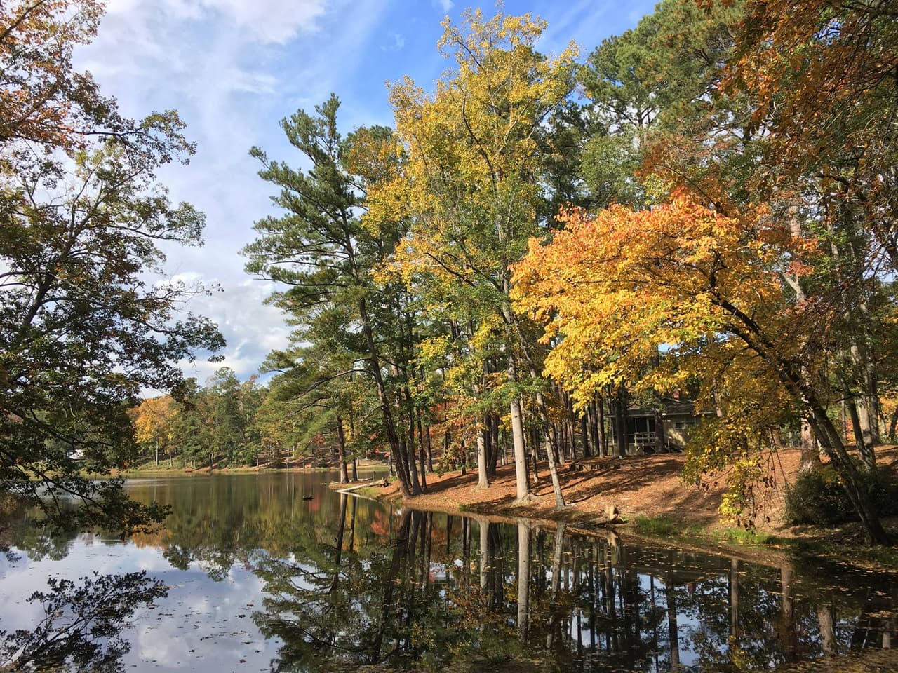<b><a href="https://gastateparks.org/FDRoosevelt" target="_blank">Cabins at F.D. Roosevelt State Park (Pine Mountain)</a></b>: Cabañas históricas de piedra de un dormitorio en el Parque Estatal Roosevelt, el parque estatal más grande de Georgia, fue construido en la década de 1930 por el Cuerpo de Conservación Civil. Se sientan en lo alto de Pine Mountain y ofrecen vistas de las montañas onduladas. El parque también cuenta con cabañas de dos habitaciones disponibles.