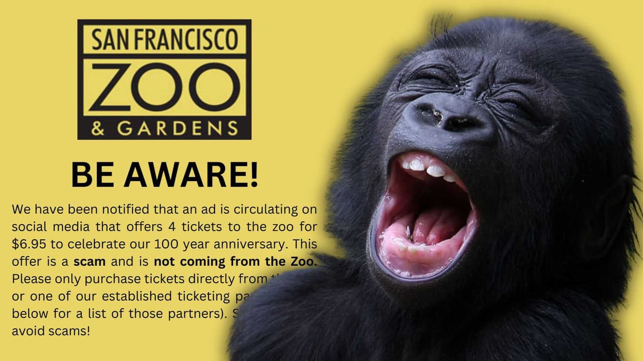 Mucha gente está cayendo en esta estafa que involucra al zoológico de San Francisco