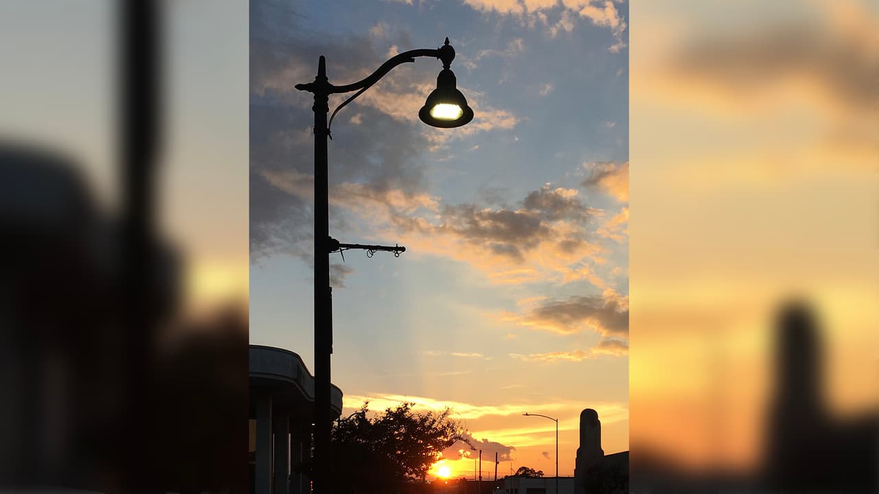 Elena Torres Tamayo nos compartió esta linda foto en redes sociales.