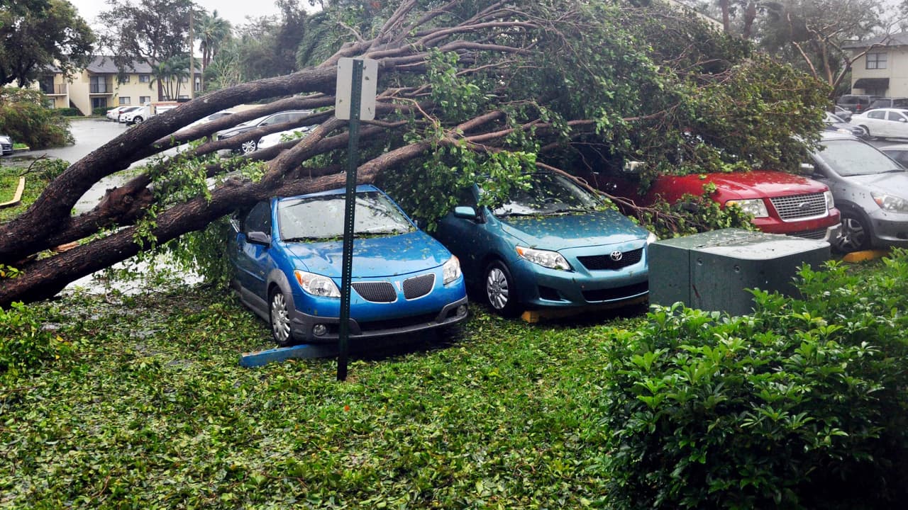 Fabricantes ofrecen ayuda financiera a víctimas de huracanes